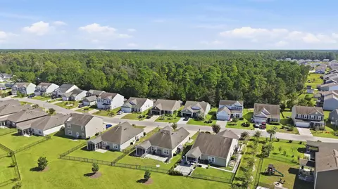 View/Area - 192 Long Leaf Pine Dr, Conway, SC 29526 photo 11 of 17