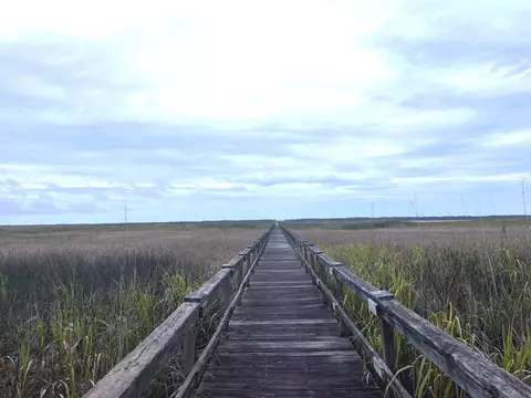 lot50 Oak Bay Dr, Georgetown, SC 29440 photo 20