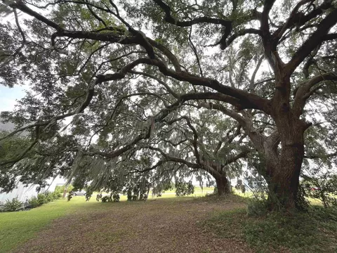 lot50 Oak Bay Dr, Georgetown, SC 29440 photo 13