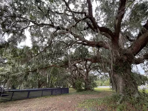 lot50 Oak Bay Dr, Georgetown, SC 29440 photo 19