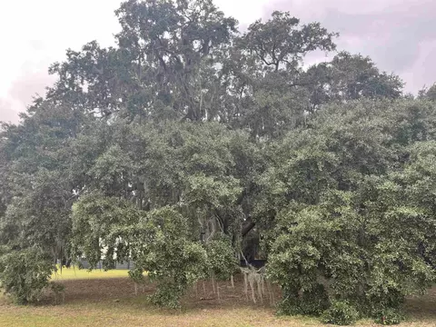 lot50 Oak Bay Dr, Georgetown, SC 29440 photo 16
