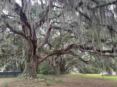 lot50 Oak Bay Dr, Georgetown, SC 29440 photo 2