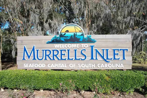Other - 143 Summer Wind Loop, Murrells Inlet, SC 29576 photo 10 of 10