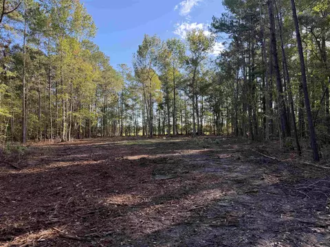 Tract 1 Wise Rd., Conway, SC 29526 photo 8