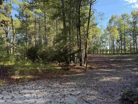 Tract 1 Wise Rd., Conway, SC 29526 photo 6