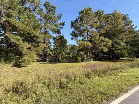 Tract 2 Wise Rd., Conway, SC 29526 photo 2