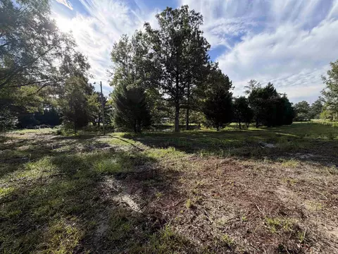 Tract 2 Wise Rd., Conway, SC 29526 photo 5