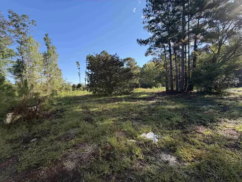 Tract 2 Wise Rd., Conway, SC 29526 photo 4