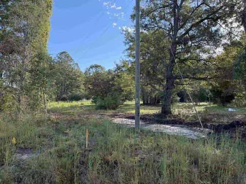 Tract 2 Wise Rd., Conway, SC 29526 photo 3