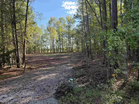 Tract 4 Wise Rd., Conway, SC 29526 photo 3