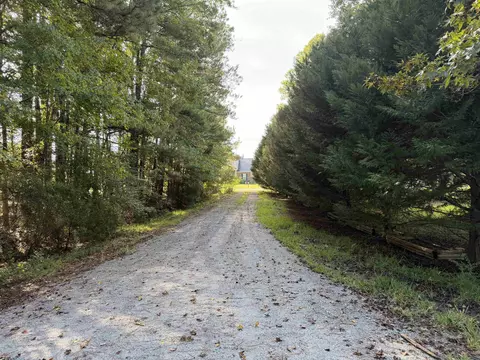 Tract 4 Wise Rd., Conway, SC 29526 photo 5
