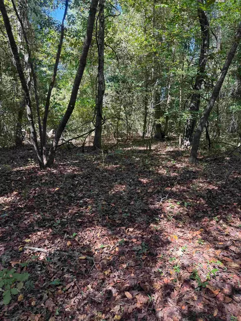 tbd Tyler Rd, Marion, SC 29571