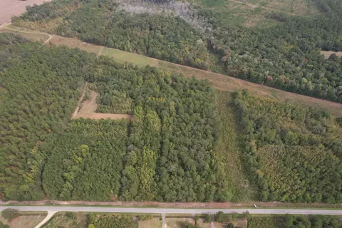 7 Acres Marion Church Rd, Salters, SC 29590