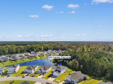 View/Area - 225 Cypress Tree Loop, Longs, SC 29568 photo 1 of 6