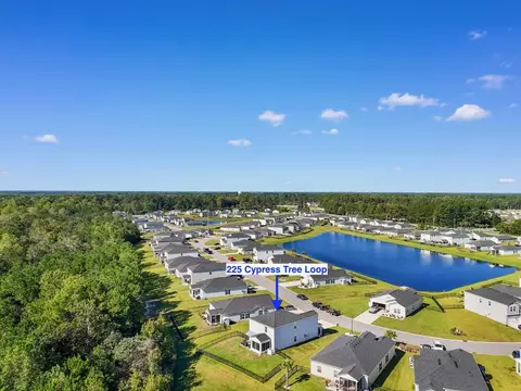 View/Area - 225 Cypress Tree Loop, Longs, SC 29568 photo 3 of 6