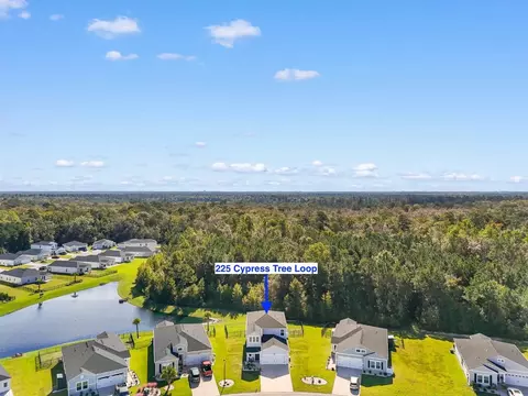 View/Area - 225 Cypress Tree Loop, Longs, SC 29568 photo 2 of 6
