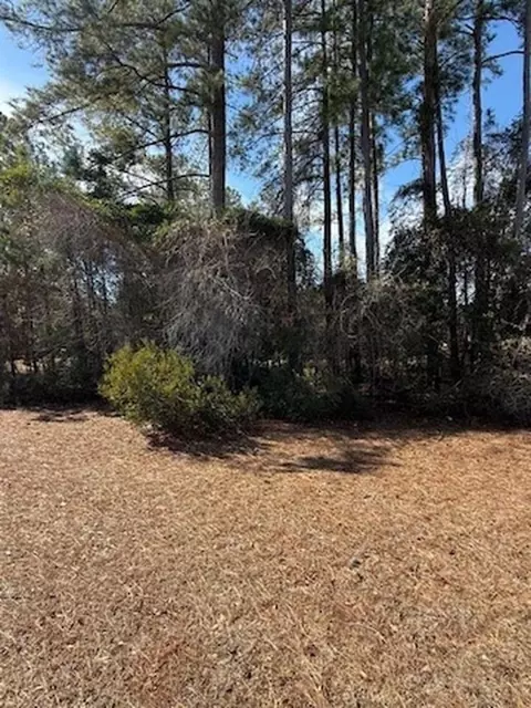 2001 Spring Valley Ct, Loris, SC 29569 photo 4