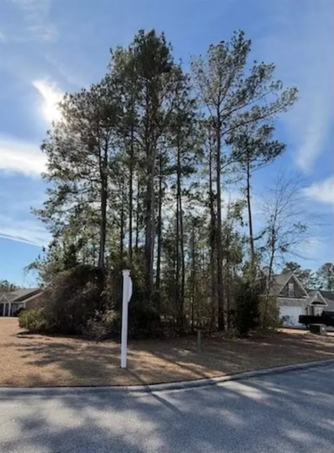 2001 Spring Valley Ct, Loris, SC 29569 photo 2