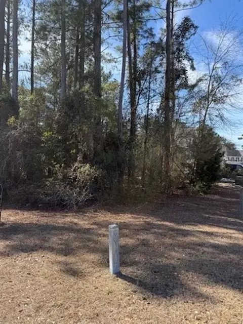 2001 Spring Valley Ct, Loris, SC 29569 photo 3