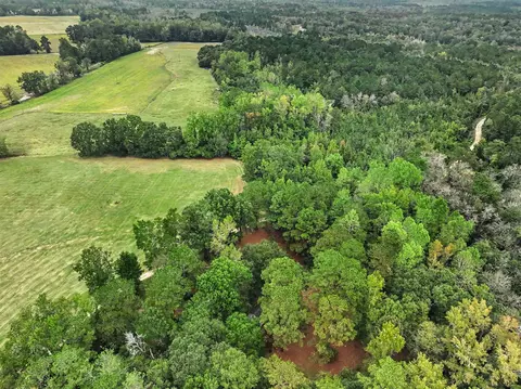 1068 Old River Rd, Fork, SC 29543 photo 17