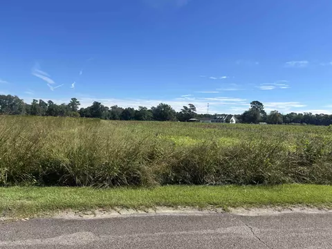 tbd Lilly Ln, Loris, SC 29569 photo 2