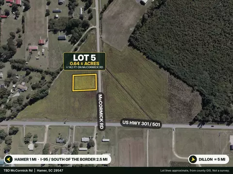 tbd Mccormick Rd, Hamer, SC 29547 photo 3