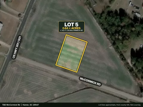 tbd Mccormick Rd, Hamer, SC 29547 photo 2
