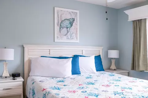 Bedroom - 201 Double Eagle Dr #E-1, Surfside Beach, SC 29575 photo 2 of 4