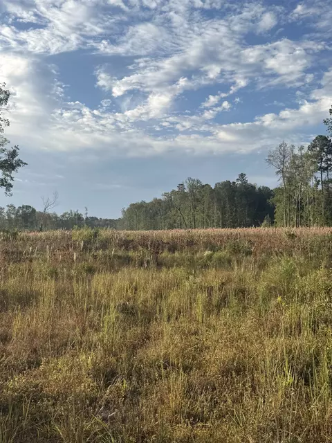 tbd Terrells Bay Rd, Marion, SC 29571 photo 7