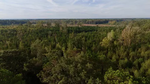 tbd Terrells Bay Rd, Marion, SC 29571 photo 3