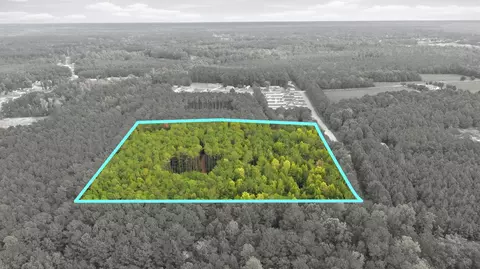 lot3 Daphane Dr, Loris, SC 29569 photo 2