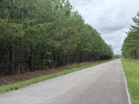 Tract B Earle Rd., Andrews, SC 29510 photo 4