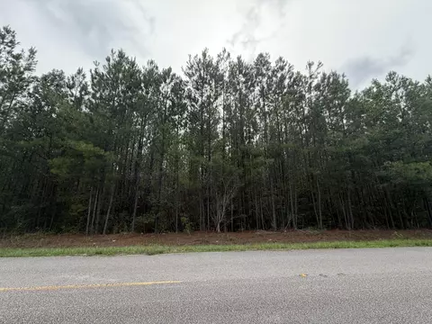 Tract B Earle Rd., Andrews, SC 29510 photo 2