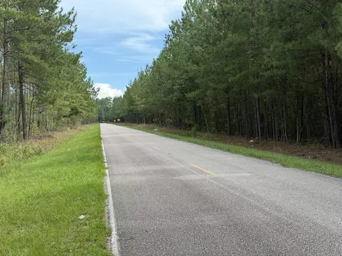 Tract B Earle Rd., Andrews, SC 29510 photo 3