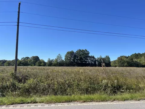 Screwpin Rd, Blenheim, SC 29516