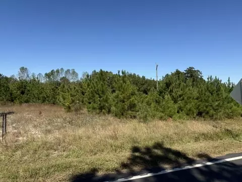 5 0 Acs Old Pee Dee Rd, Georgetown, SC 29440 photo 2