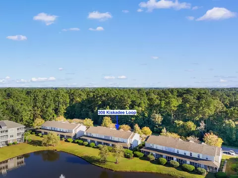 View/Area - 308 Kiskadee Loop #C, Conway, SC 29526 photo 3 of 6