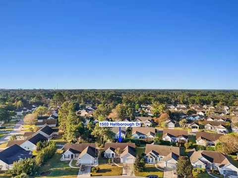 View/Area - 1503 Hallborough Dr, Surfside Beach, SC 29575 photo 2 of 5