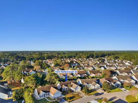View/Area - 1503 Hallborough Dr, Surfside Beach, SC 29575 photo 1 of 5