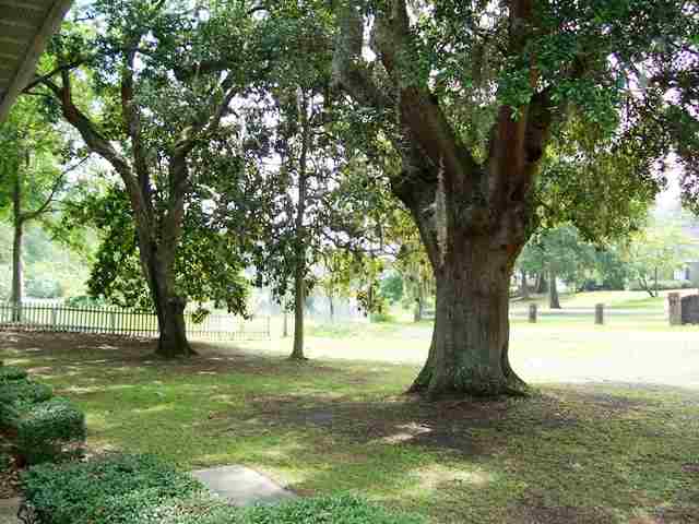 59 Tranquility Ln, Georgetown, SC 29440 photo 10