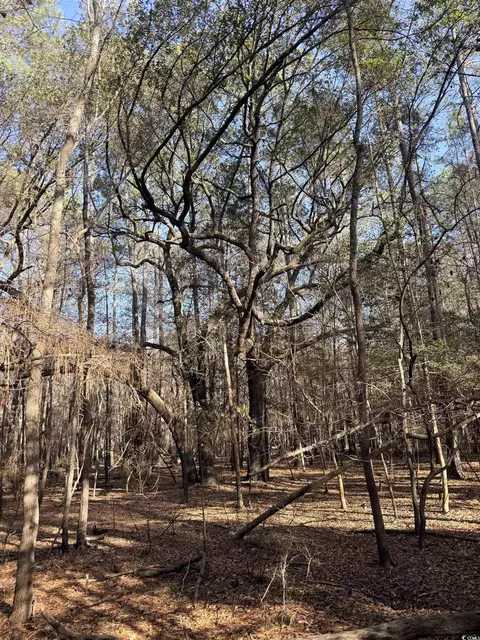 Bryants Landing Rd., Conway, SC 29526