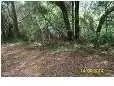0 Arsburn Rd, James Island, SC 29412