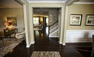 649 Silver Moss Dr, Moncks Corner, SC 29461 photo 1