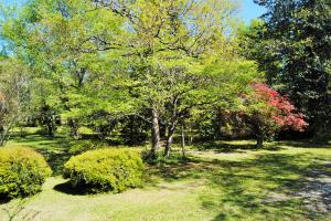 2215 S Live Oak Dr, Moncks Corner, SC 29461 photo 1