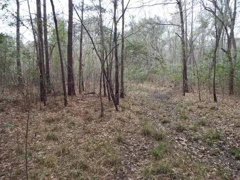 143 Dixon, Cordesville, SC 29434