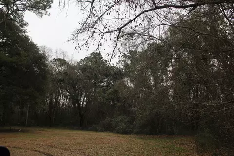 0 Lieben Rd, Mount Pleasant, SC 29466