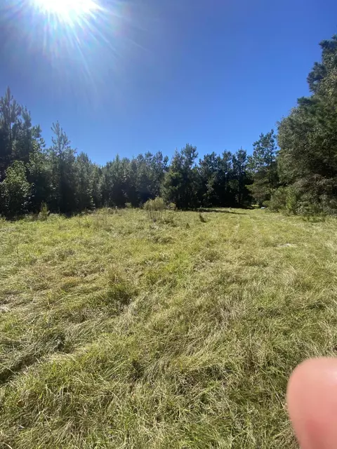 259 Interstate View Dr, Ridgeville, SC 29472