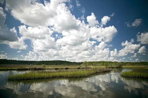 3989 Bulow Landing Rd, Ravenel, SC 29470