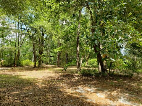 9603 Sidneys Rd, Round O, SC 29474 photo 1