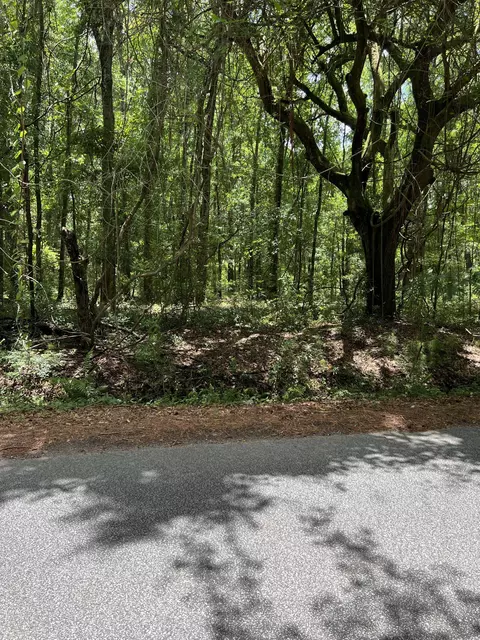 00 Cane Slash Rd, Charleston, SC 29401